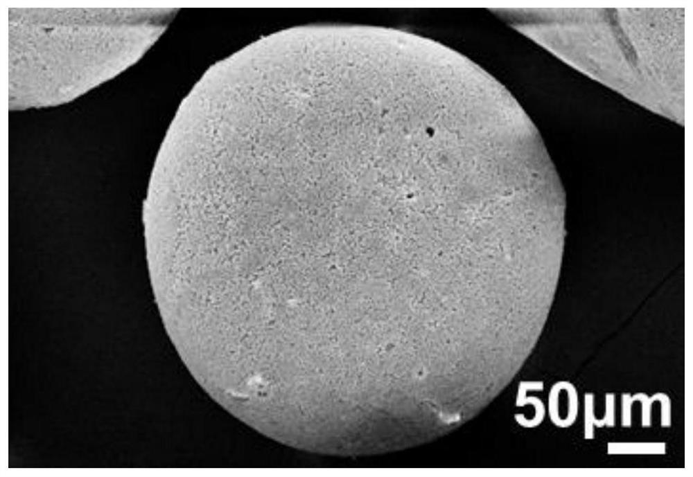 A kind of chitin nanofiber porous composite microsphere blood ammonia adsorbent, its preparation method and application