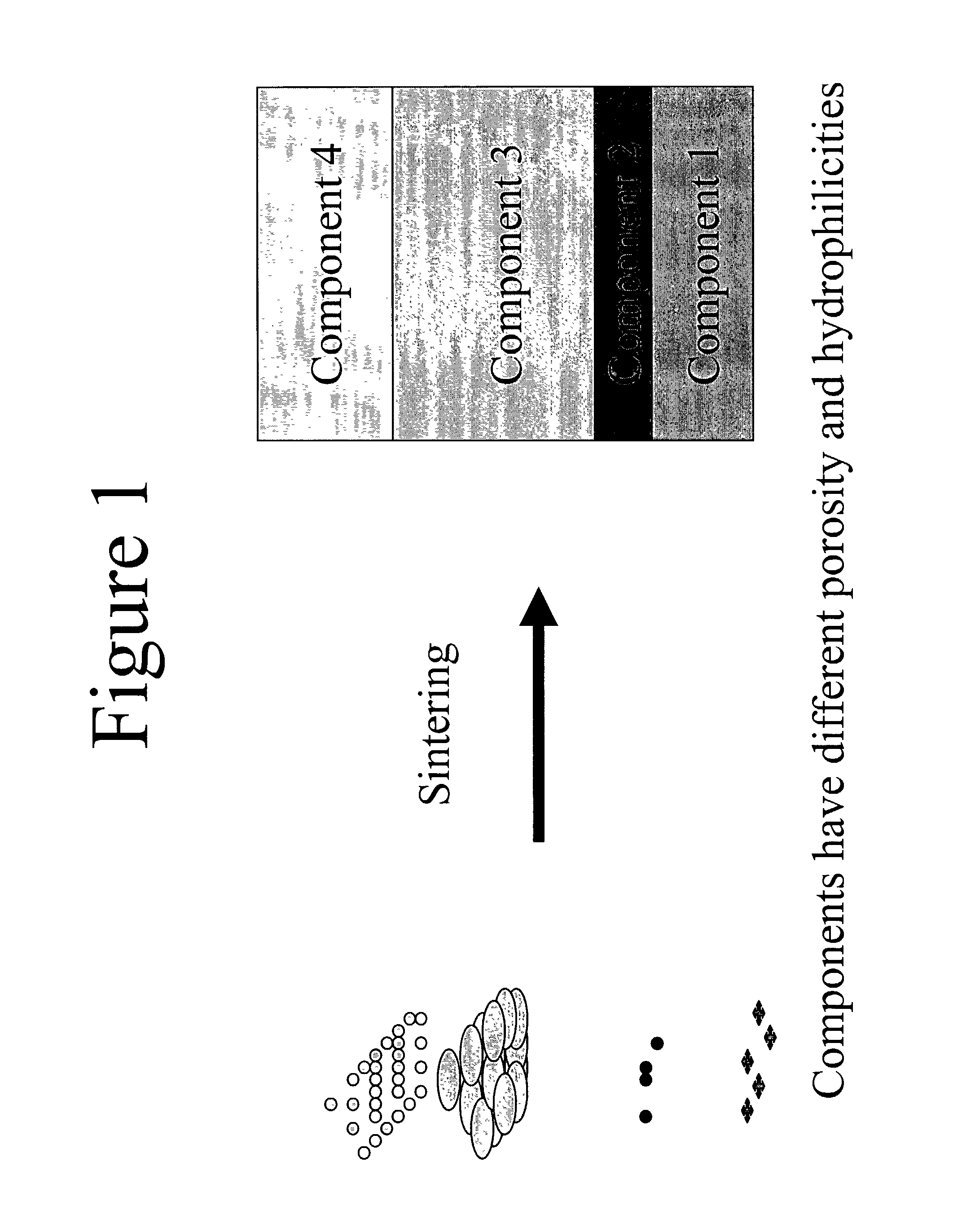 Discrete hydrophilic-hydrophobic porous materials and methods for making the same