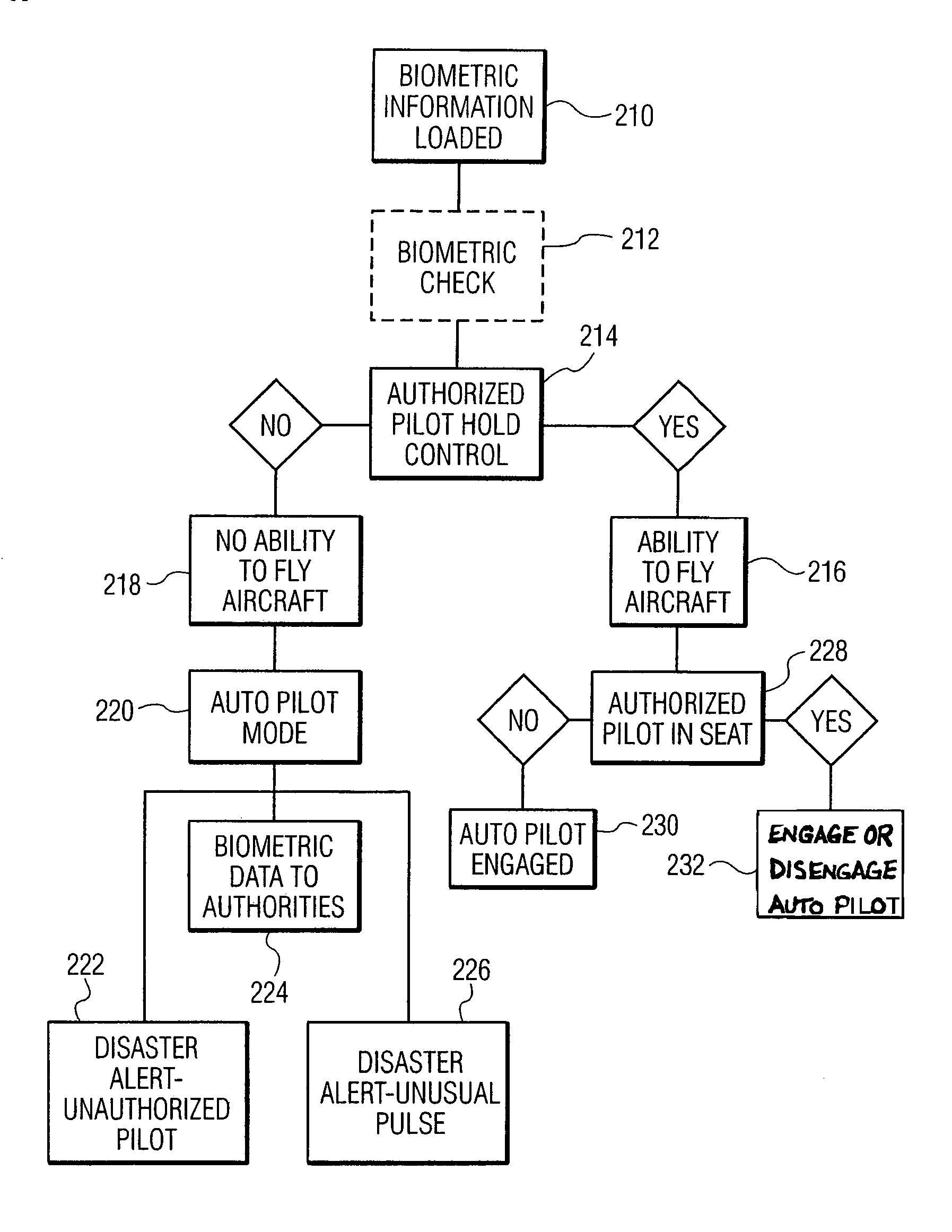 Apparatus, system and method for aircraft security
