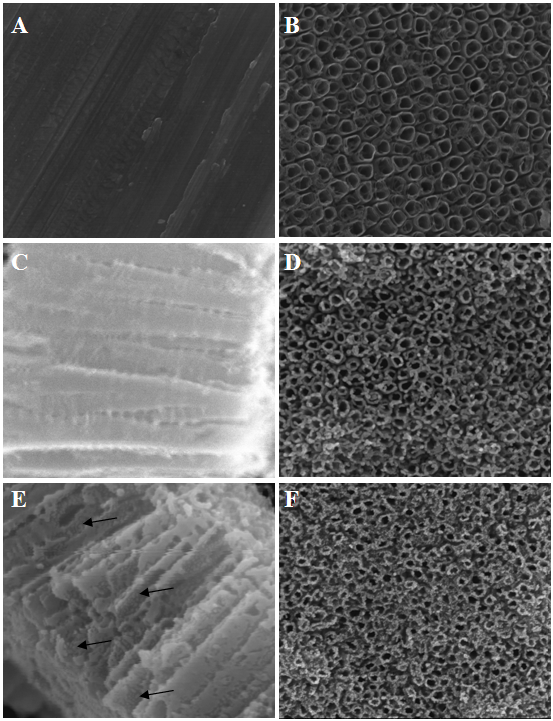 Method for preparing medical titanium material with long-acting antibacterial property and good biocompatibility