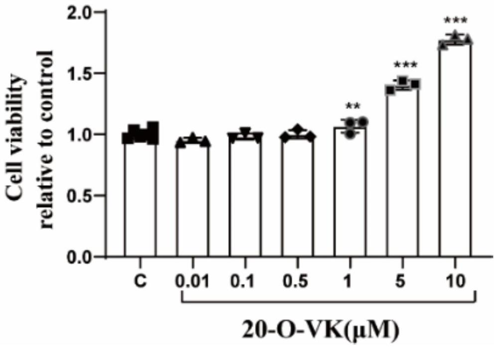 A kind of pharmaceutical composition comprising c21 steroid saponin and application thereof