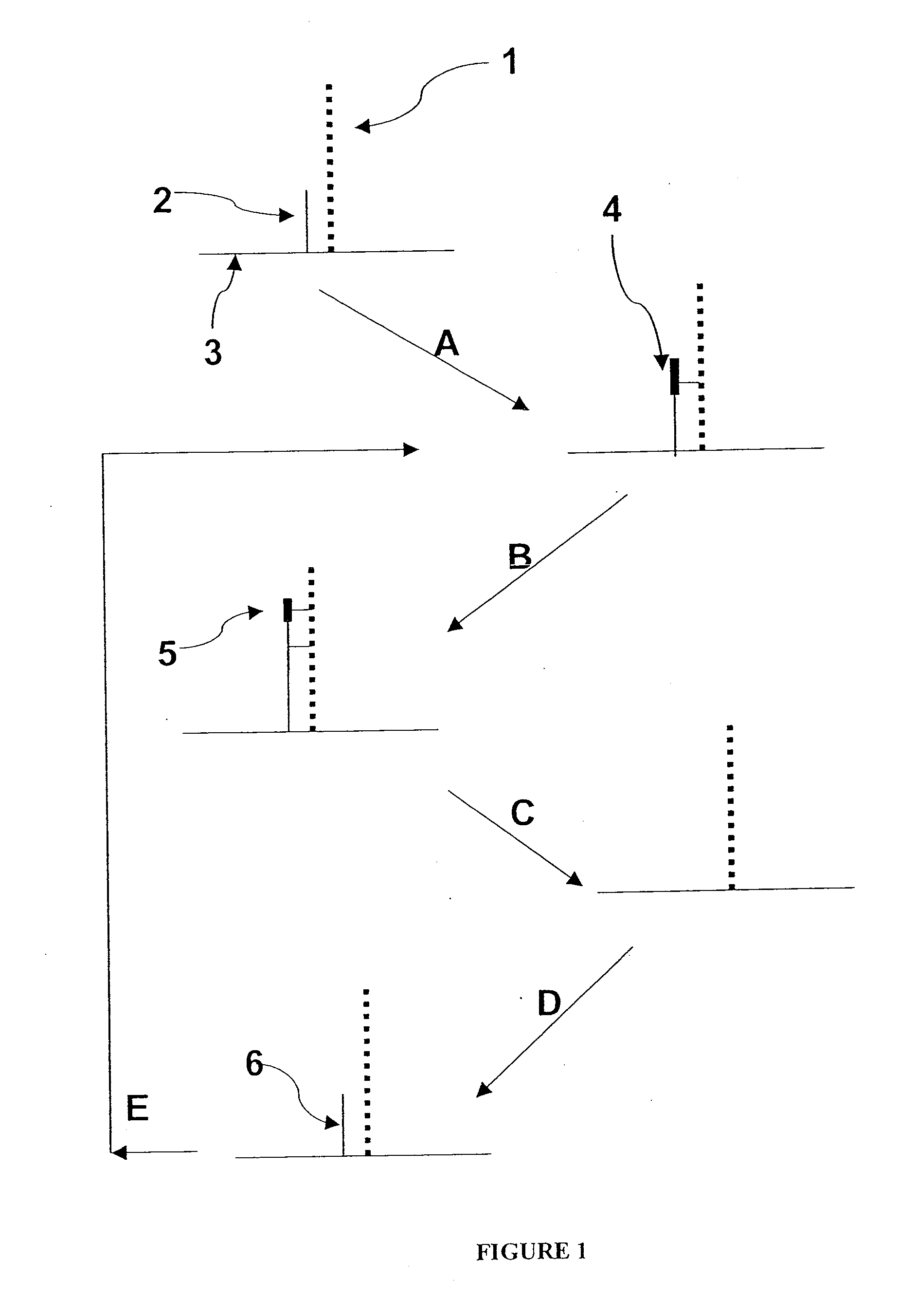 Methods for increasing accuracy of nucleic scid sequencing