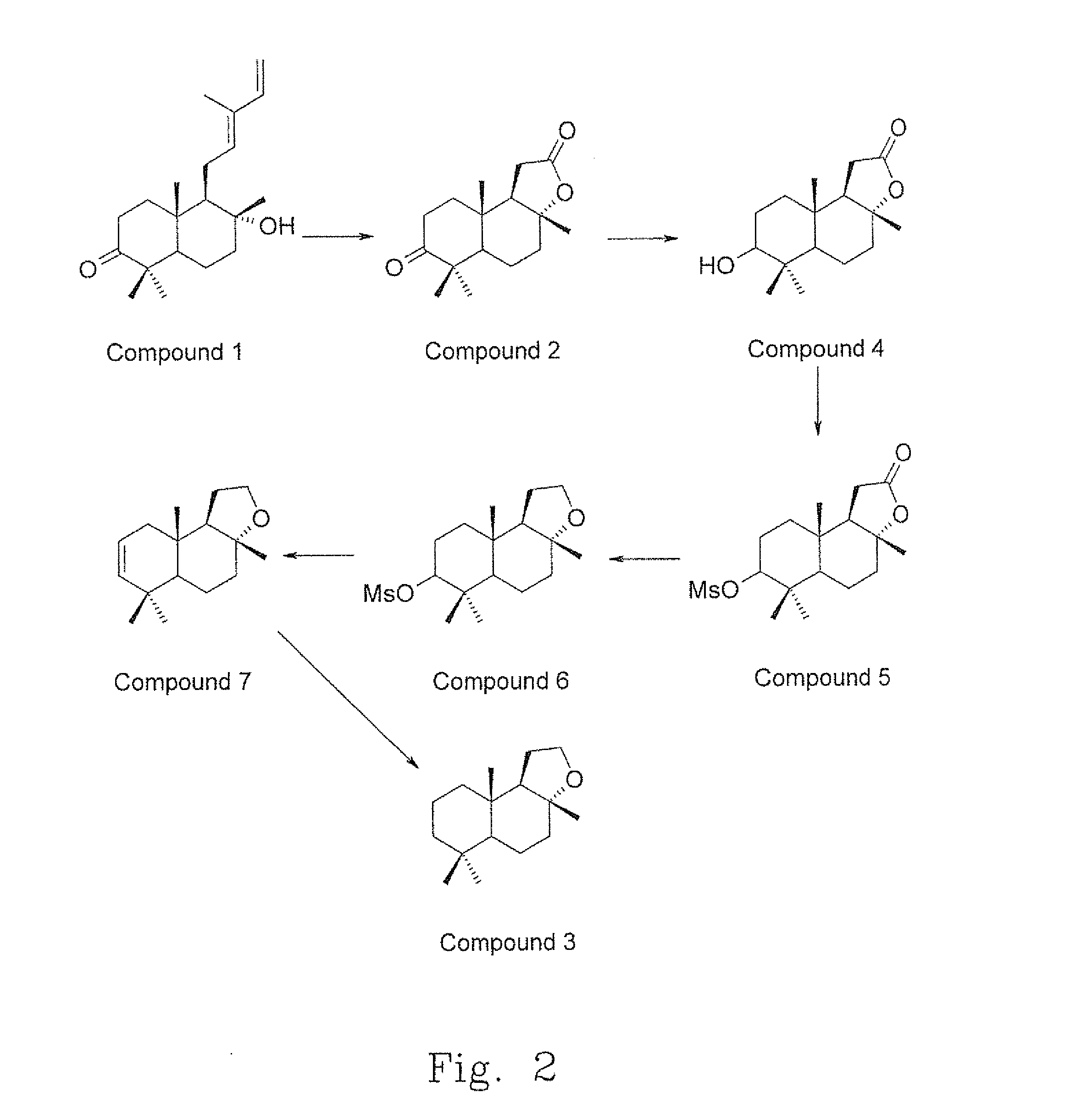 Preparation of Ambrox from Labdanes of Dysoxylum hongkongense, and the Preparation of New Diterpenoids from Dysoxylum hongkongense