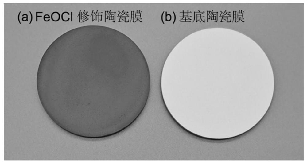 Method for relieving membrane protein pollution by FeOCl modified ceramic membrane in-situ coupling peracetic acid catalytic filtration system