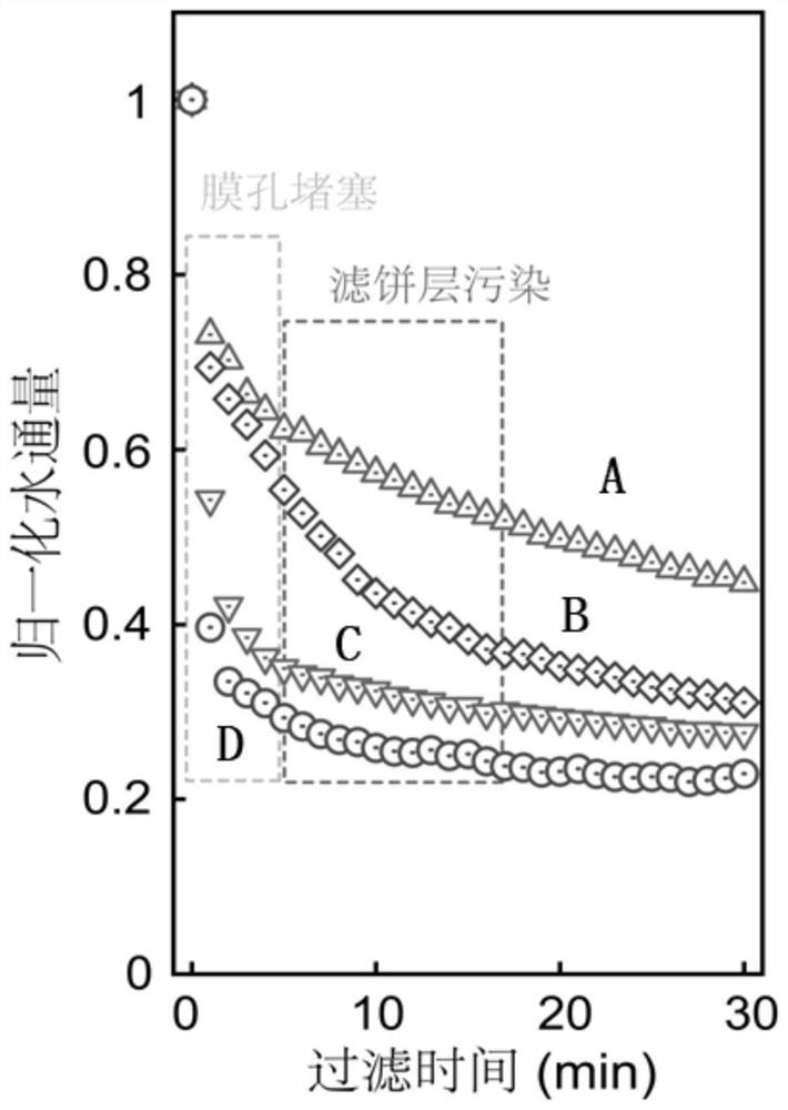 Method for relieving membrane protein pollution by FeOCl modified ceramic membrane in-situ coupling peracetic acid catalytic filtration system