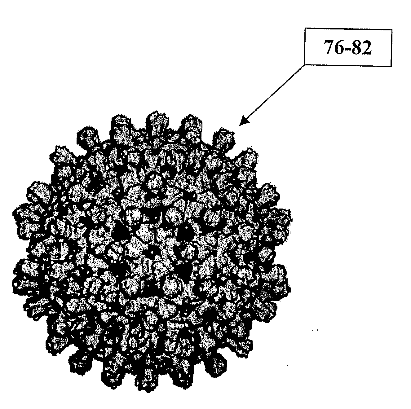 Hepatitis Virus Core Proteins as Vaccine Platforms and Methods of Use Thereof