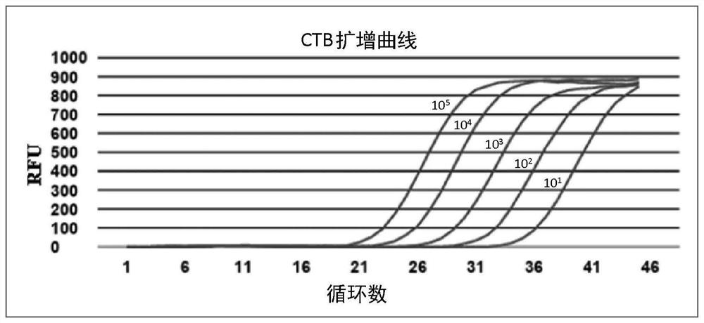 Mycobacterium tuberculosis detection method and detection kit