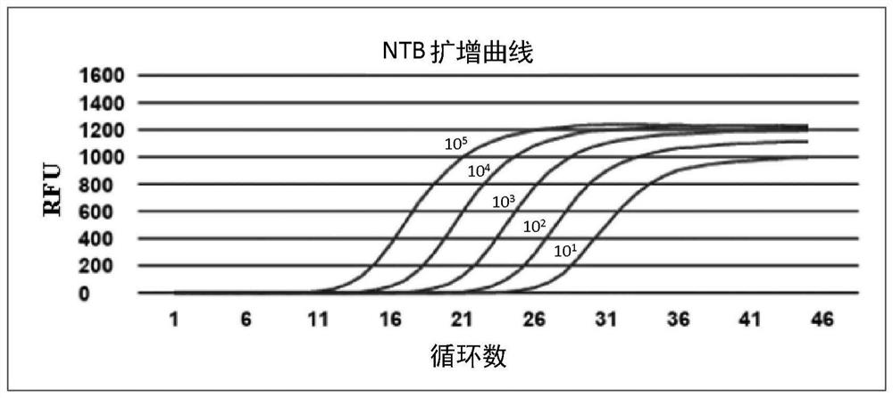 Mycobacterium tuberculosis detection method and detection kit