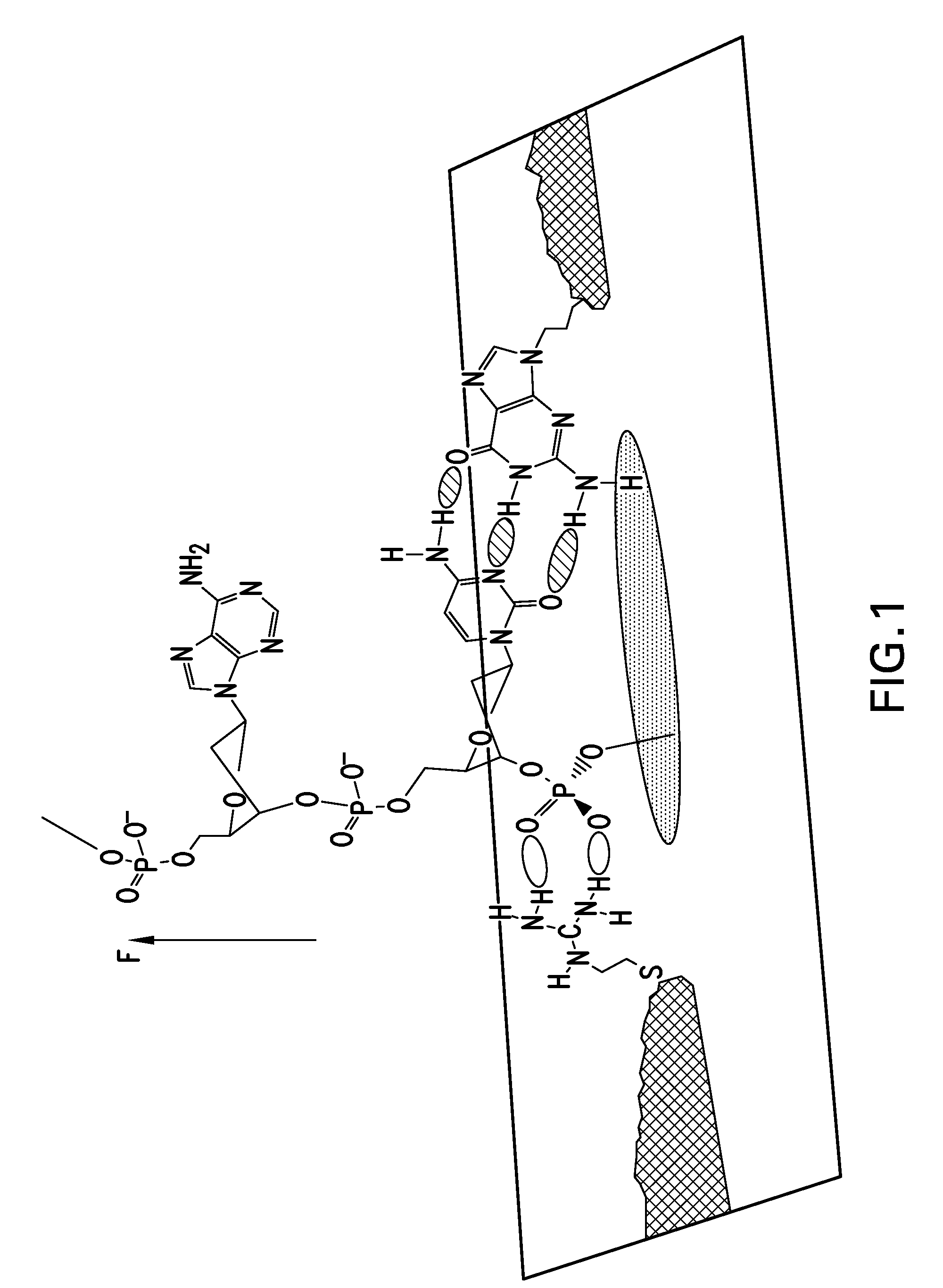 Devices and Methods for Target Molecule Characterization