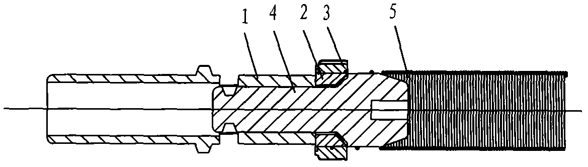 Extensible hose with special-shaped lining-ring connector and injection molding method thereof
