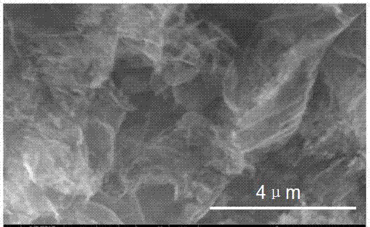 Stepwise photocatalysis method for preparing tetra(p-sulfonate phenyl) porphyrin silver/ silver/ carbon nitride nanosheet composite material