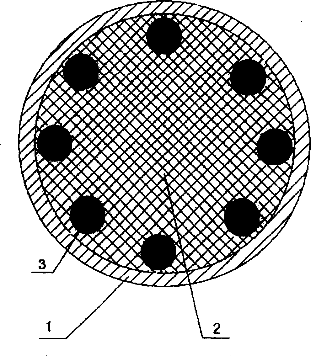 Composite stainless steel rod with rainforced structure and its manufacturing method