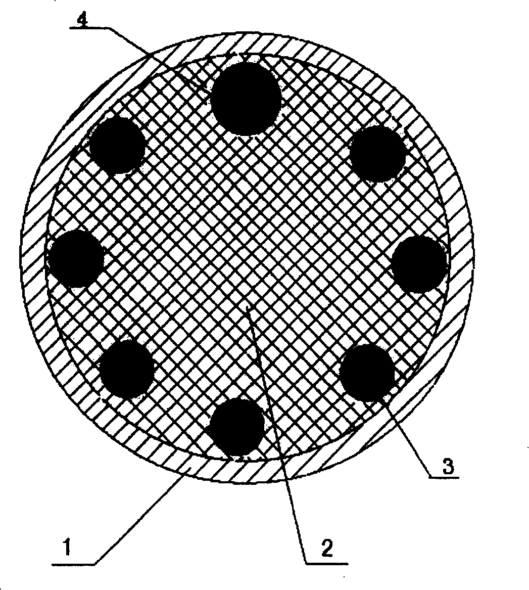 Composite stainless steel rod with rainforced structure and its manufacturing method