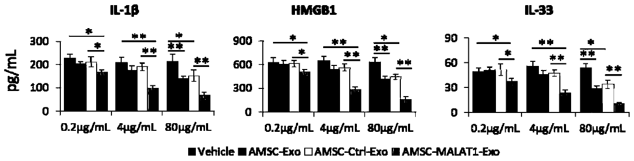Application of AMSC-MALAT1-Exo to preparation of medicine for treating hepatic diseases and preparation method of AMSC-MALAT1-Exo