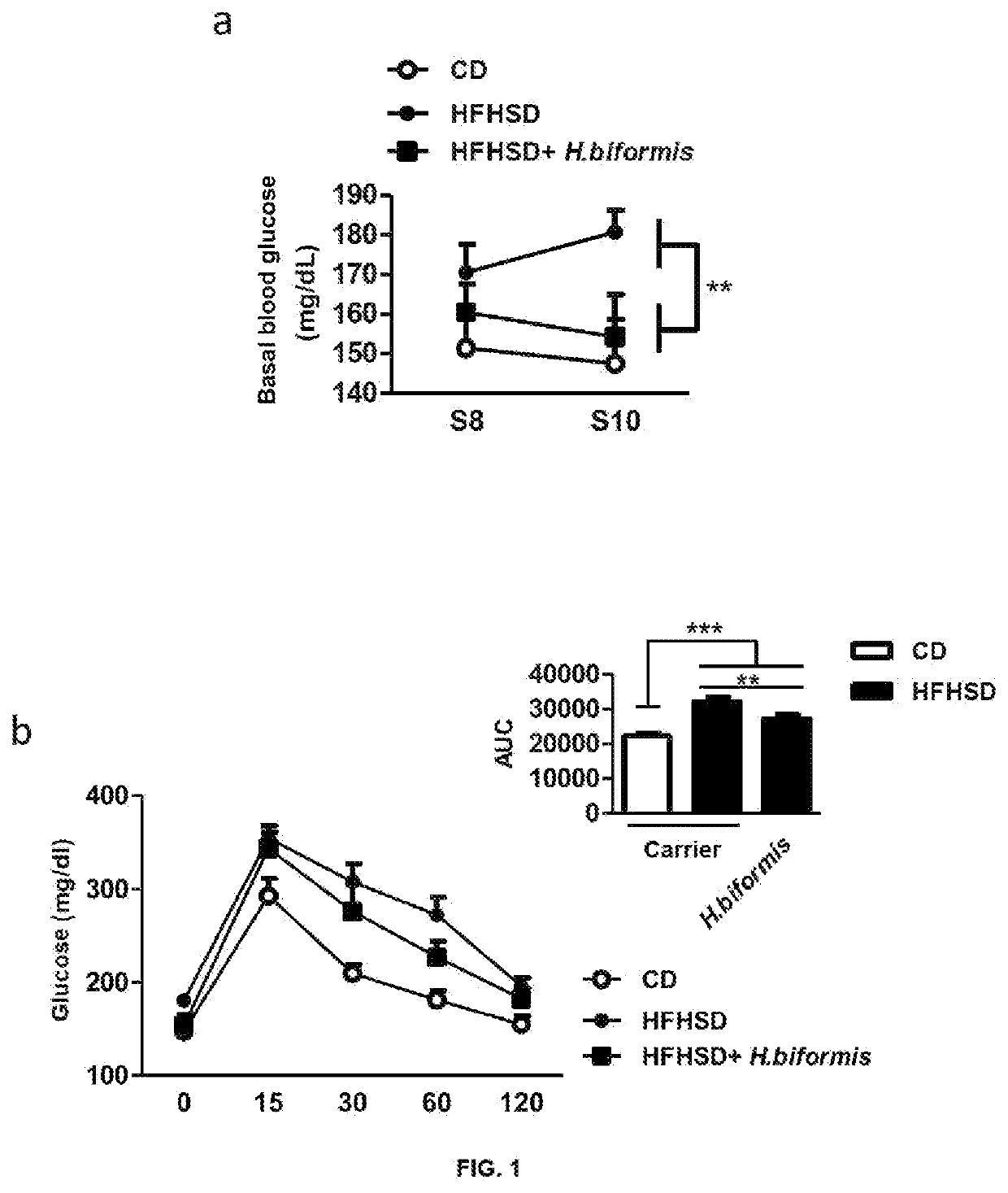 Holdermanella sp. bacterium and use thereof