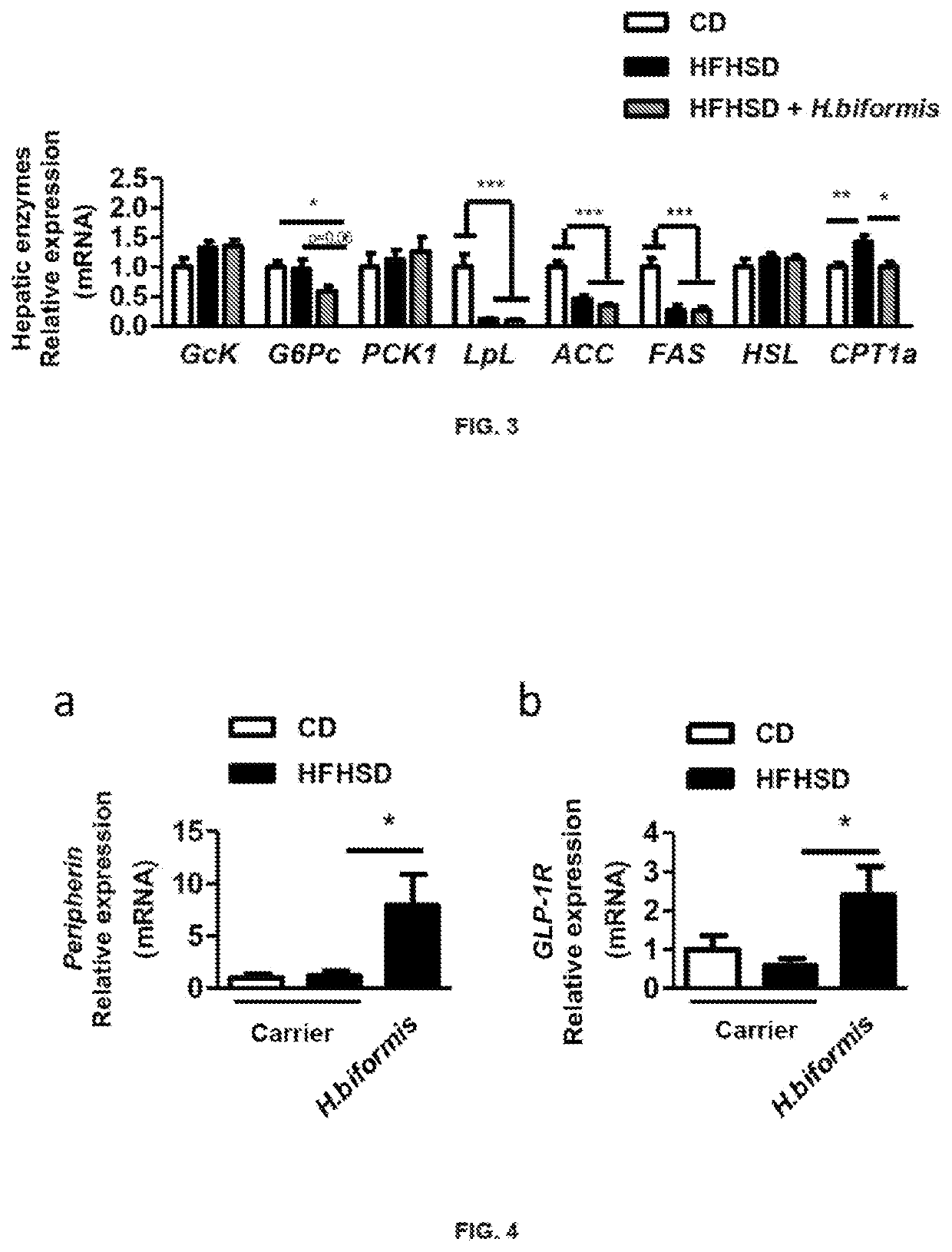 Holdermanella sp. bacterium and use thereof