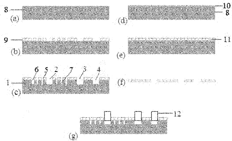 Plasma separating chip and preparation method thereof