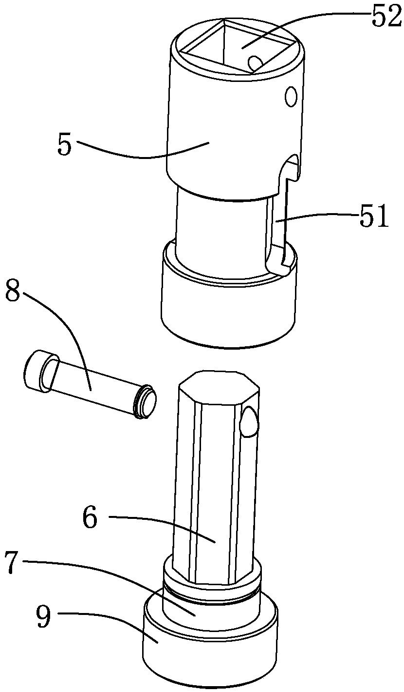 Garden bush seed sowing device