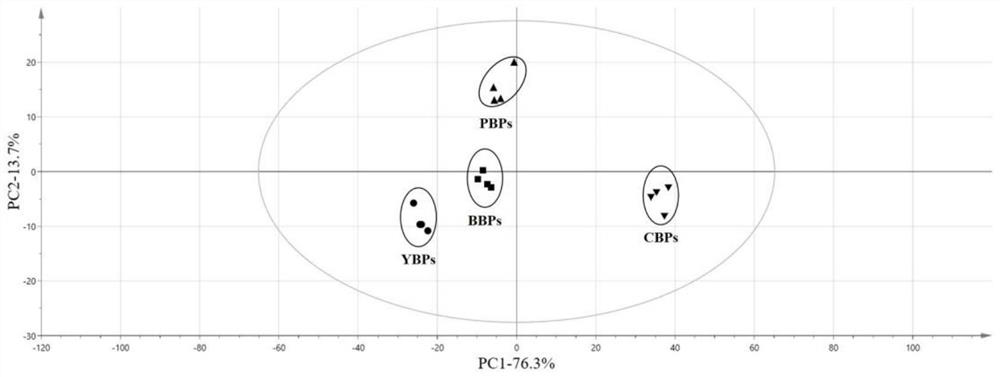 Method for rapidly judging species source of livestock and poultry bone collagen peptide based on electronic tongue