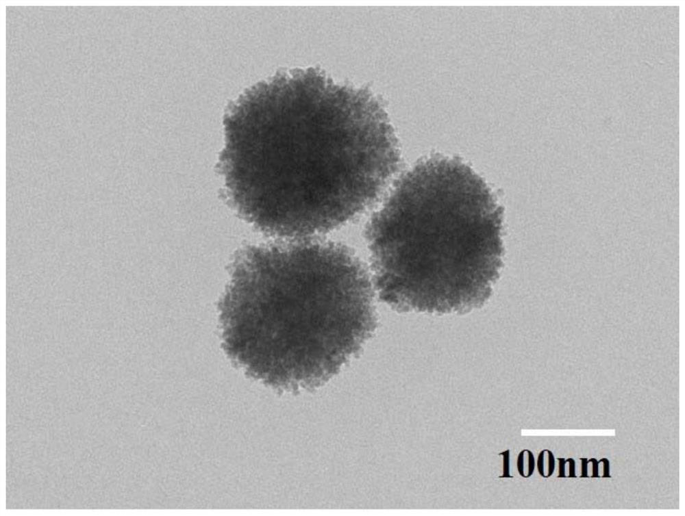 Nano magnetic bead for capturing circulating tumor cells as well as preparation method and application thereof