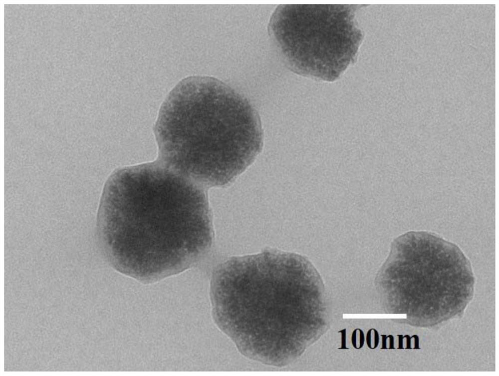 Nano magnetic bead for capturing circulating tumor cells as well as preparation method and application thereof