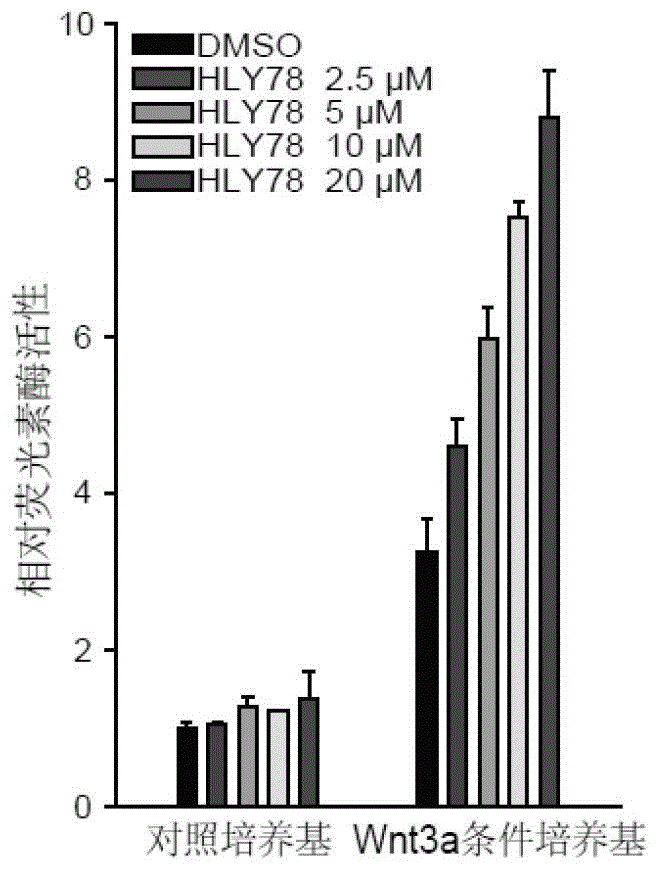 Compound used as Wnt signal pathway activator, and preparation and application thereof