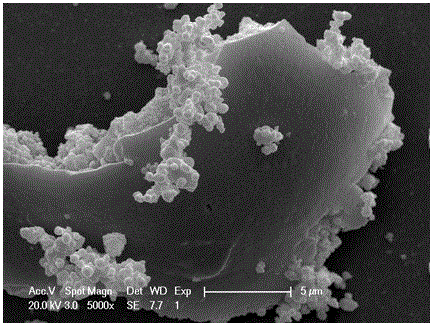 Silver phosphate/molybdenum disulfide compound visible-light-driven photocatalyst and preparation method thereof