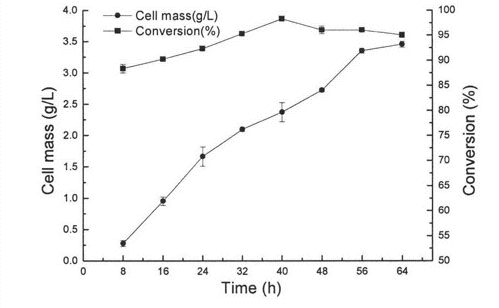 Nocardia sp. capable of converting quininone into (R)-3-quinuclidinol and conversion method