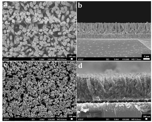 Application of branched titanium dioxide nanorod array material in enrichment and detection of heavy metal lead