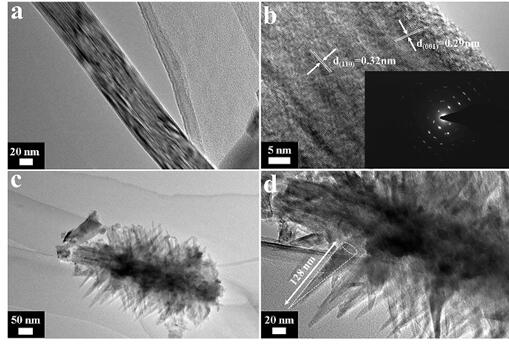 Application of branched titanium dioxide nanorod array material in enrichment and detection of heavy metal lead