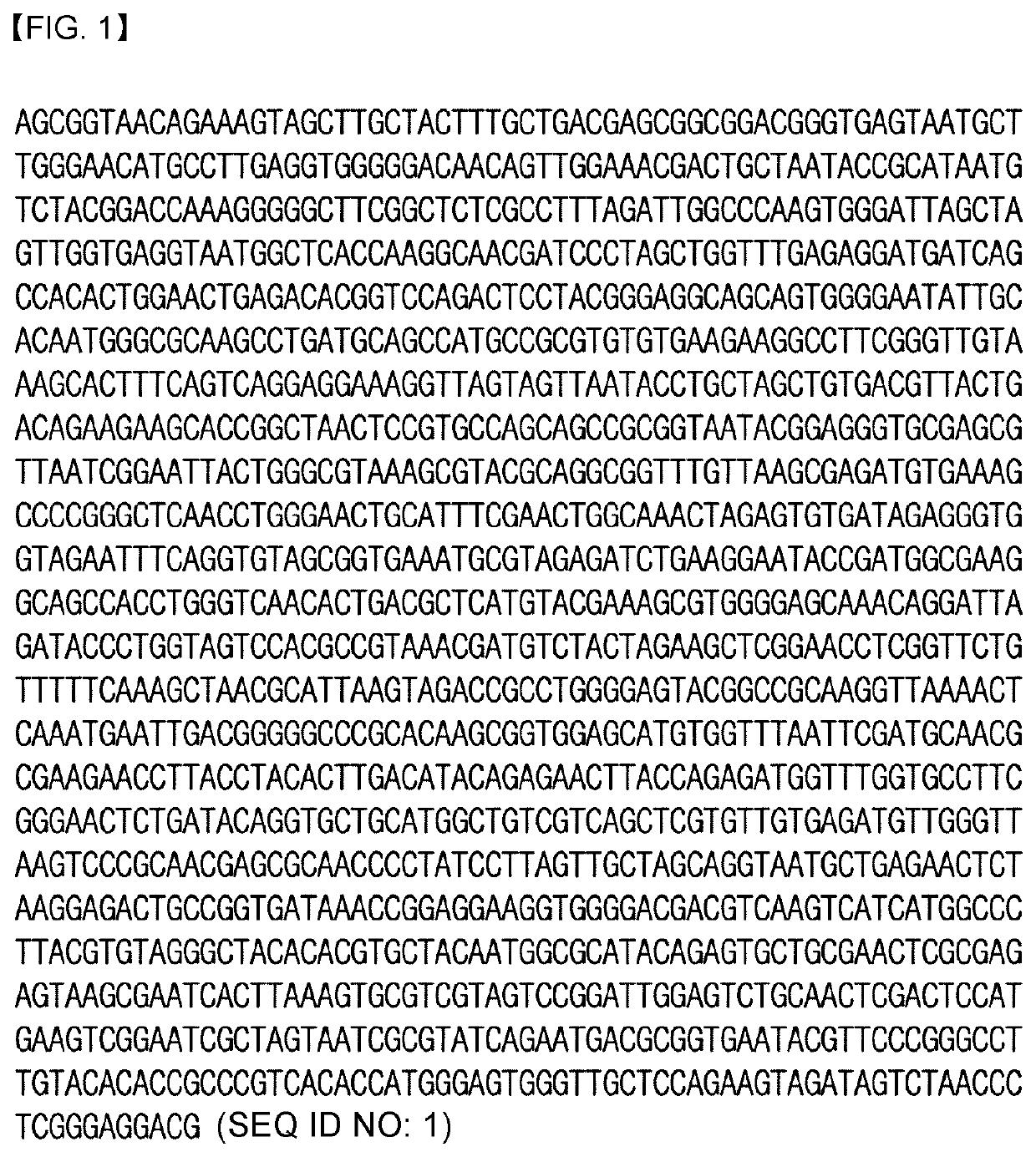 Skin whitening composition comprising culture of pseudoalteromonas carrageenovora or extract thereof