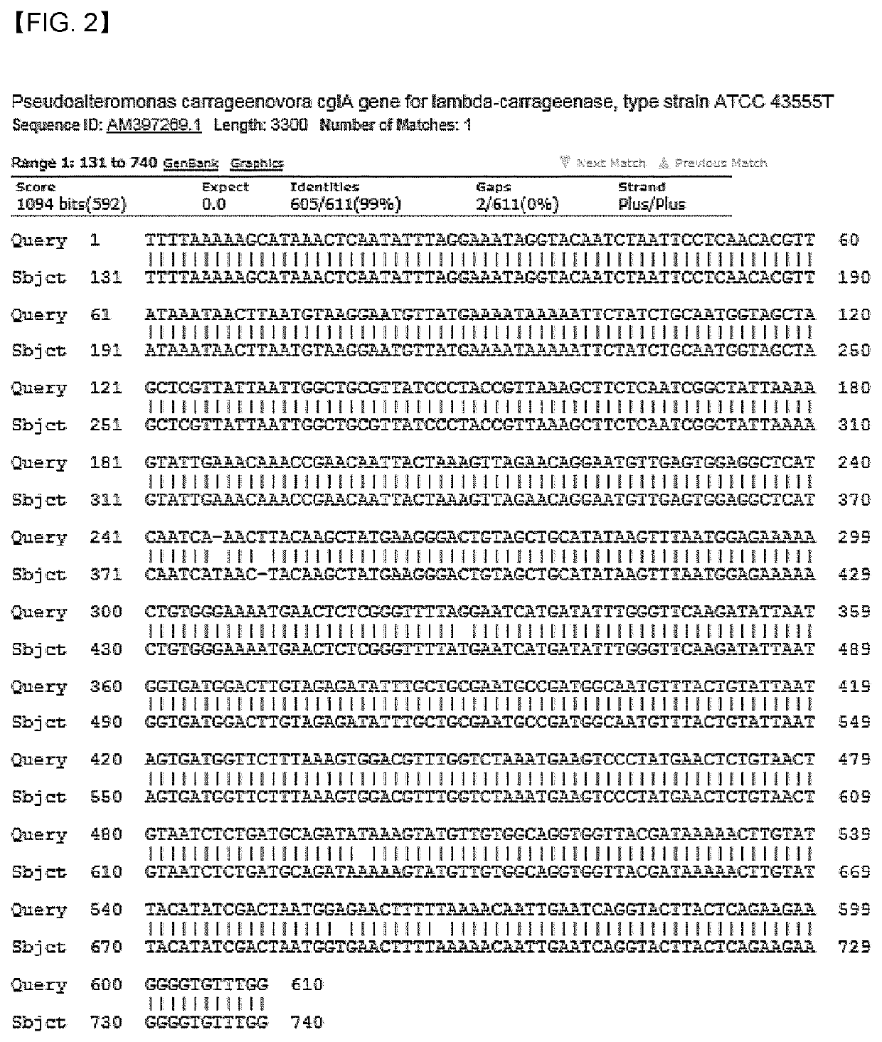 Skin whitening composition comprising culture of pseudoalteromonas carrageenovora or extract thereof