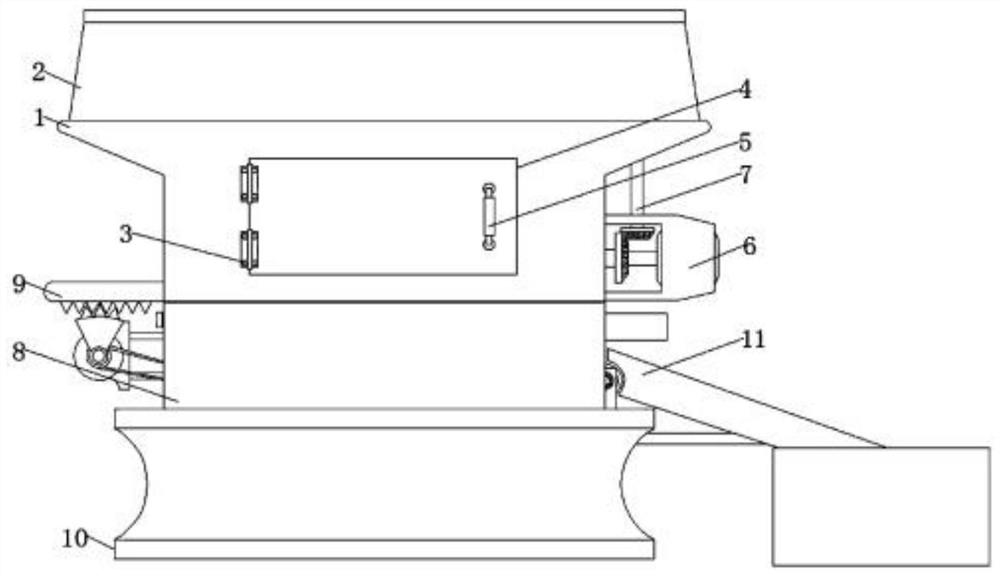 Sorting device and sorting method for hyporhamphus sajori processing