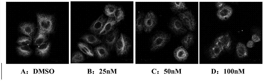 5-arylphenol-2 alkyl substituted urea benzimidazole compounds and their applications