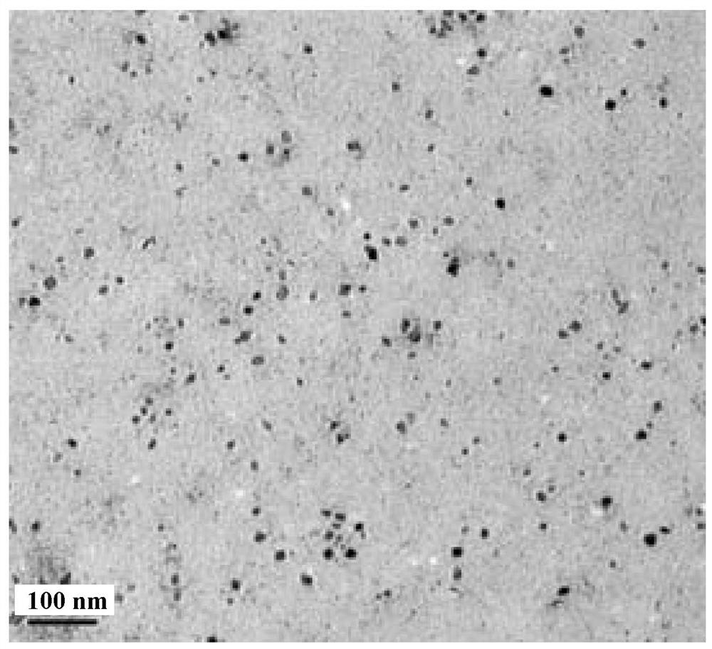 A nano-therapeutic material that crosses the blood-brain barrier and targets orthotopic glioma and its preparation method