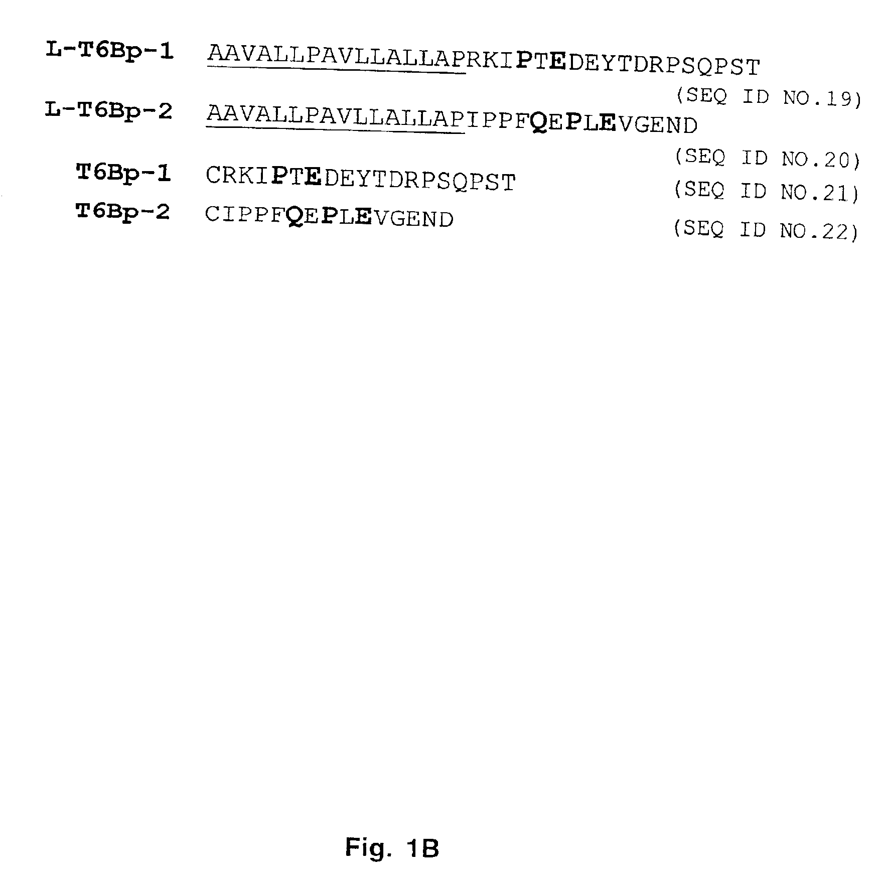 Inhibitors of receptor activator of NF-κB and uses thereof