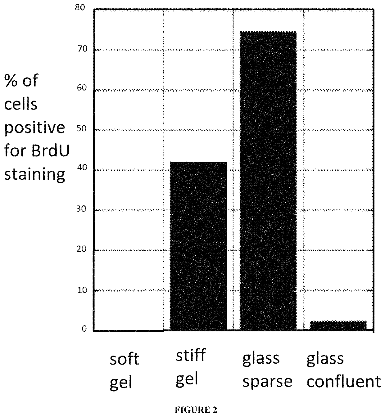 Soft gel systems in modulating stem cell development