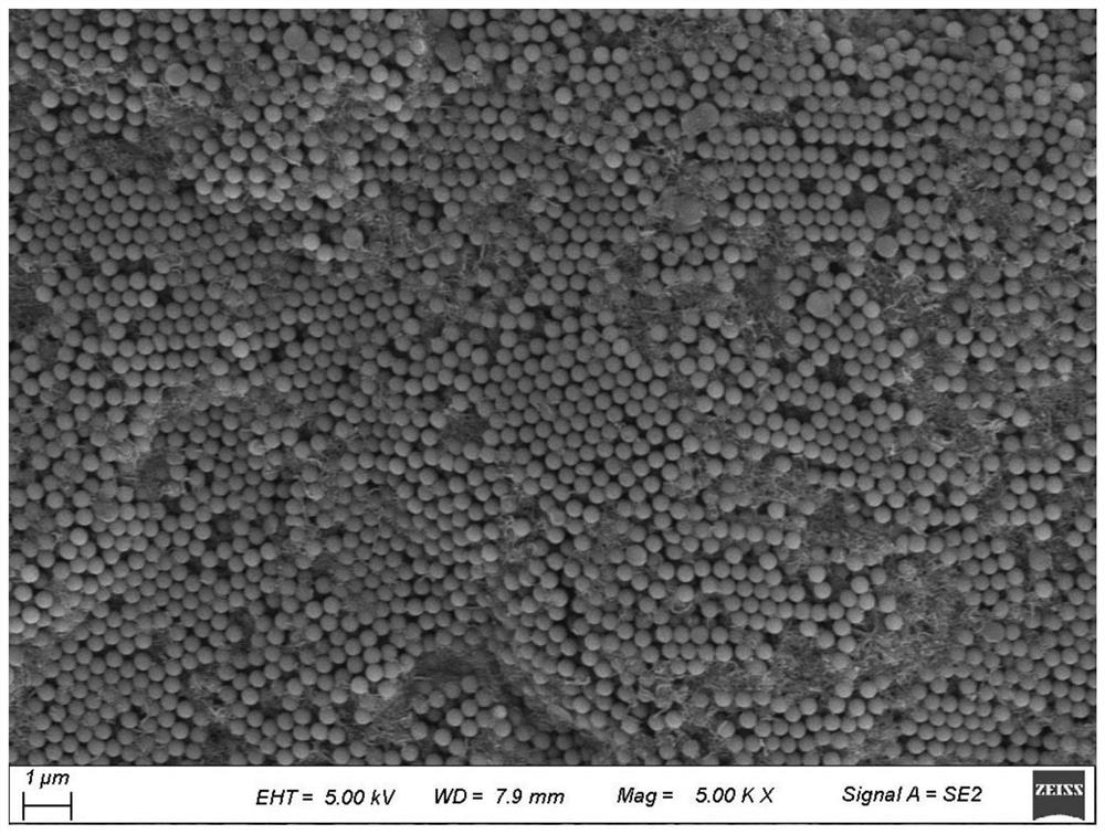 A kind of carbon material bead/polymer composite film and its preparation and application