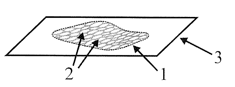 Method for the analysis of tissue sections