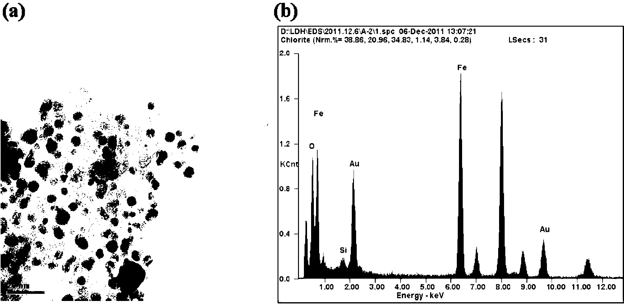 Preparation method of folic acid modified multifunctional targeted contrast agent magnetic iron oxide/gold nanoparticles