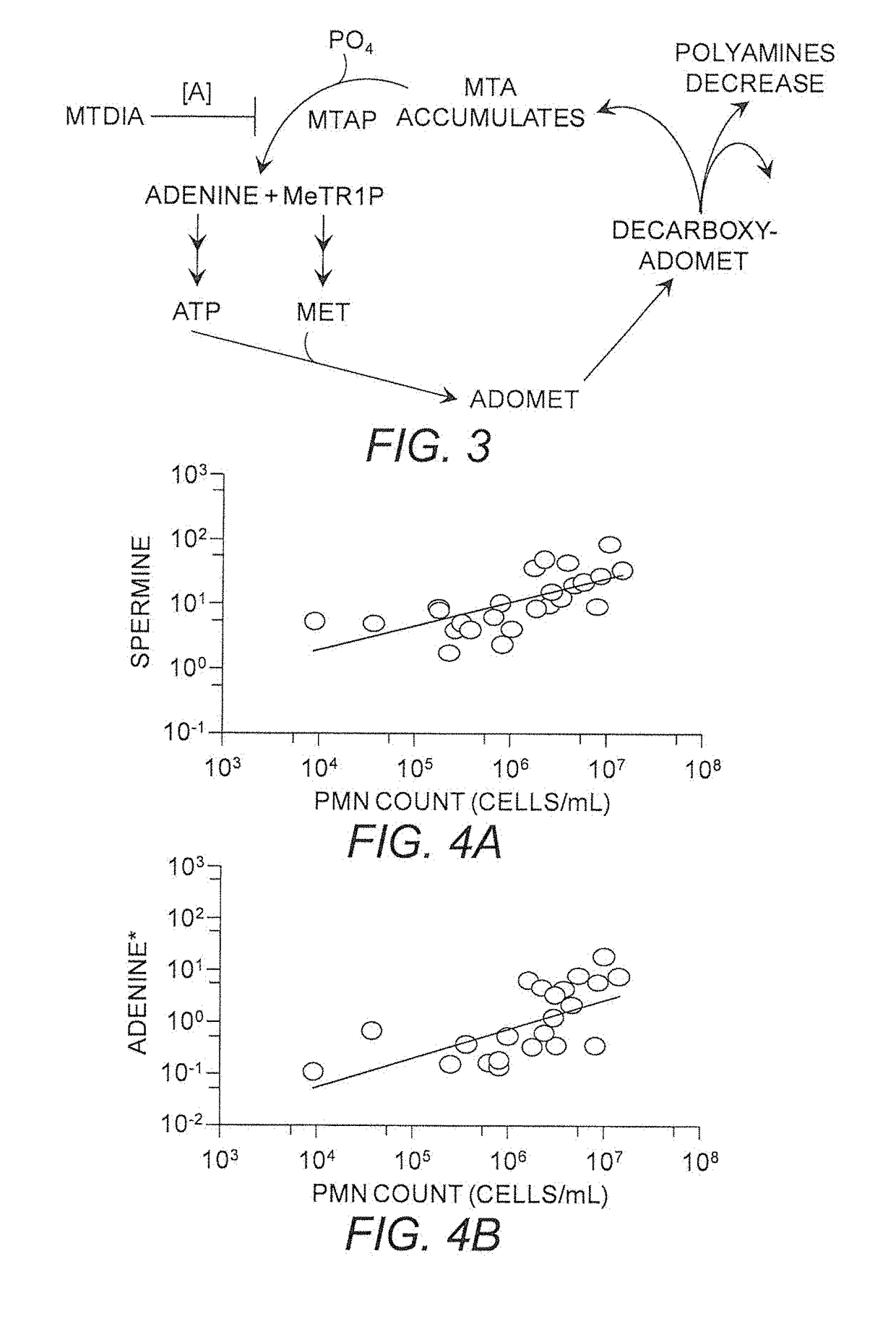 Use of MTAP Inhibitors for the Treatment of Lung Disease