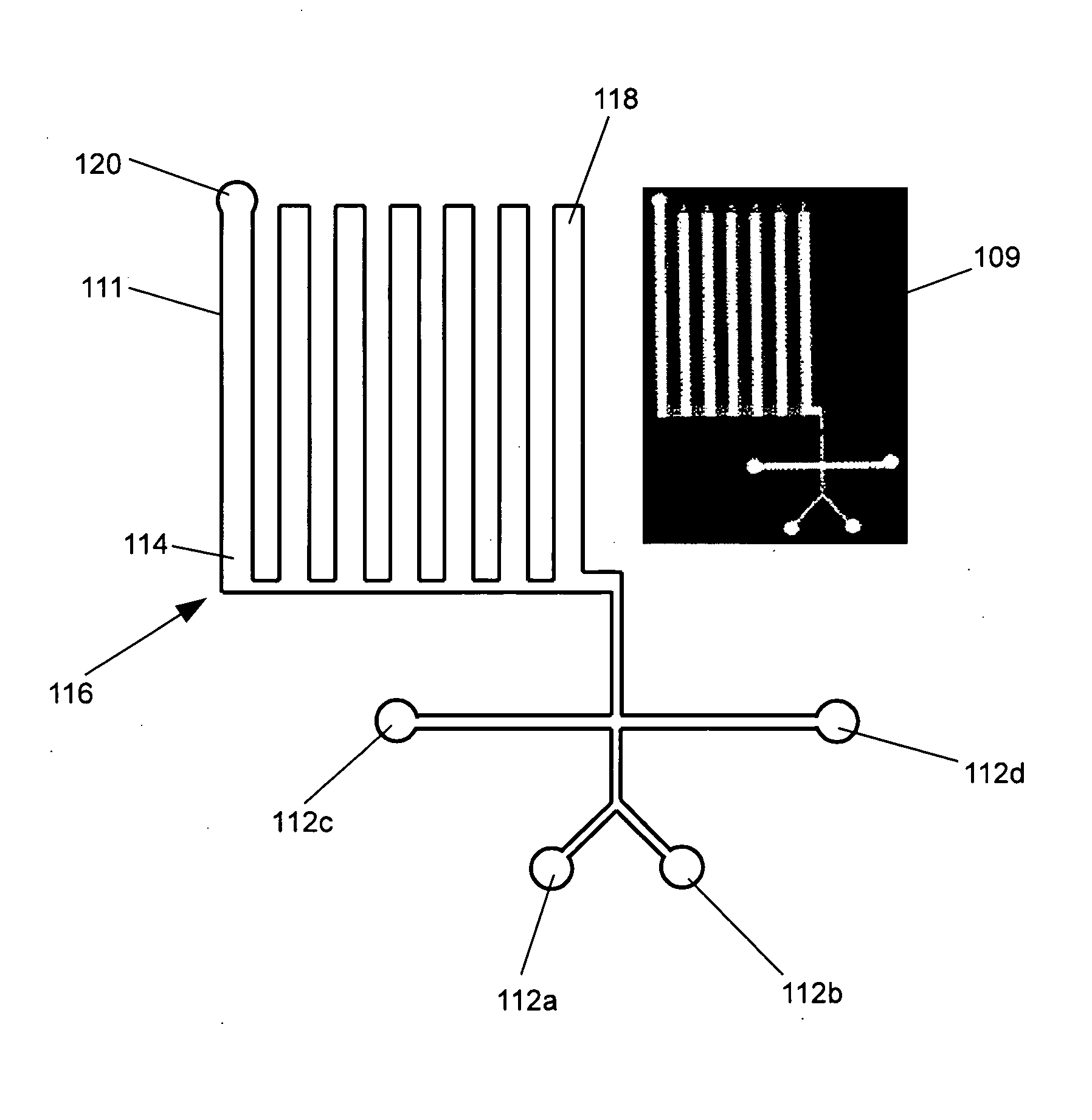 Microfluidic Device for Passive Sorting and Storage of Liquid Plugs Using Capillary Force