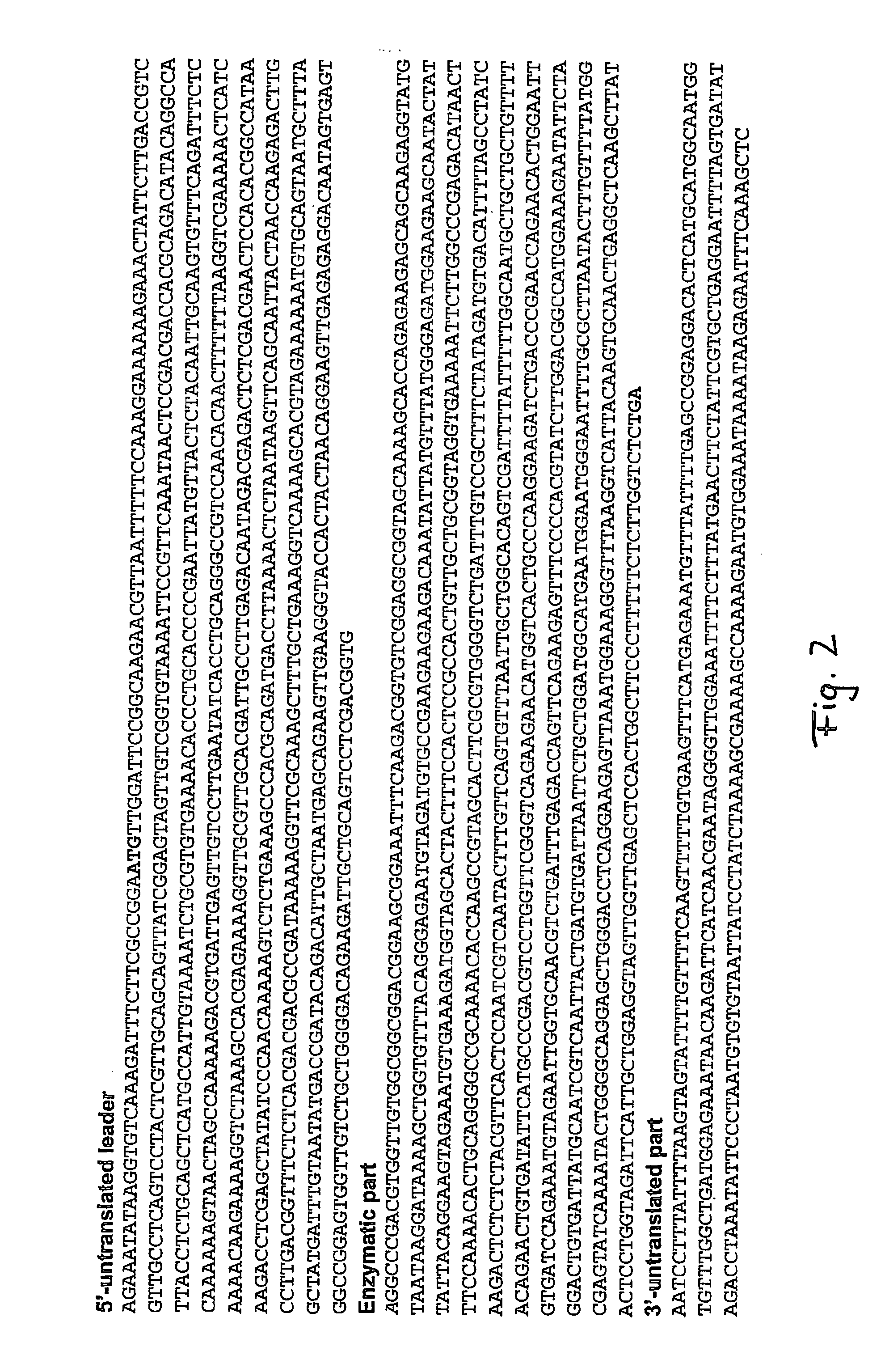 Method of protein production in plants