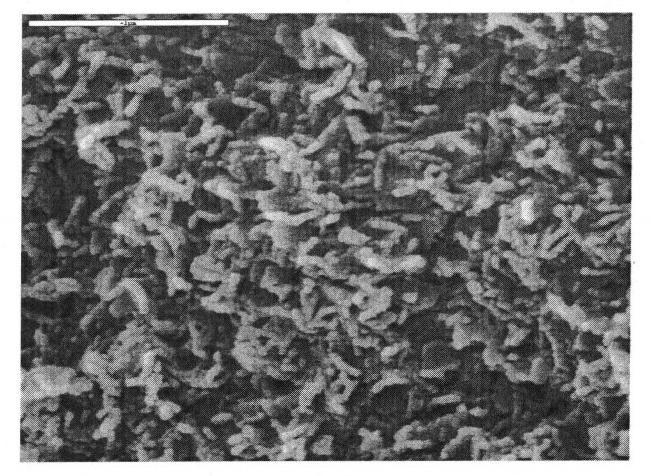 Titanium dioxide-aluminum oxide composite carrier and preparation method thereof