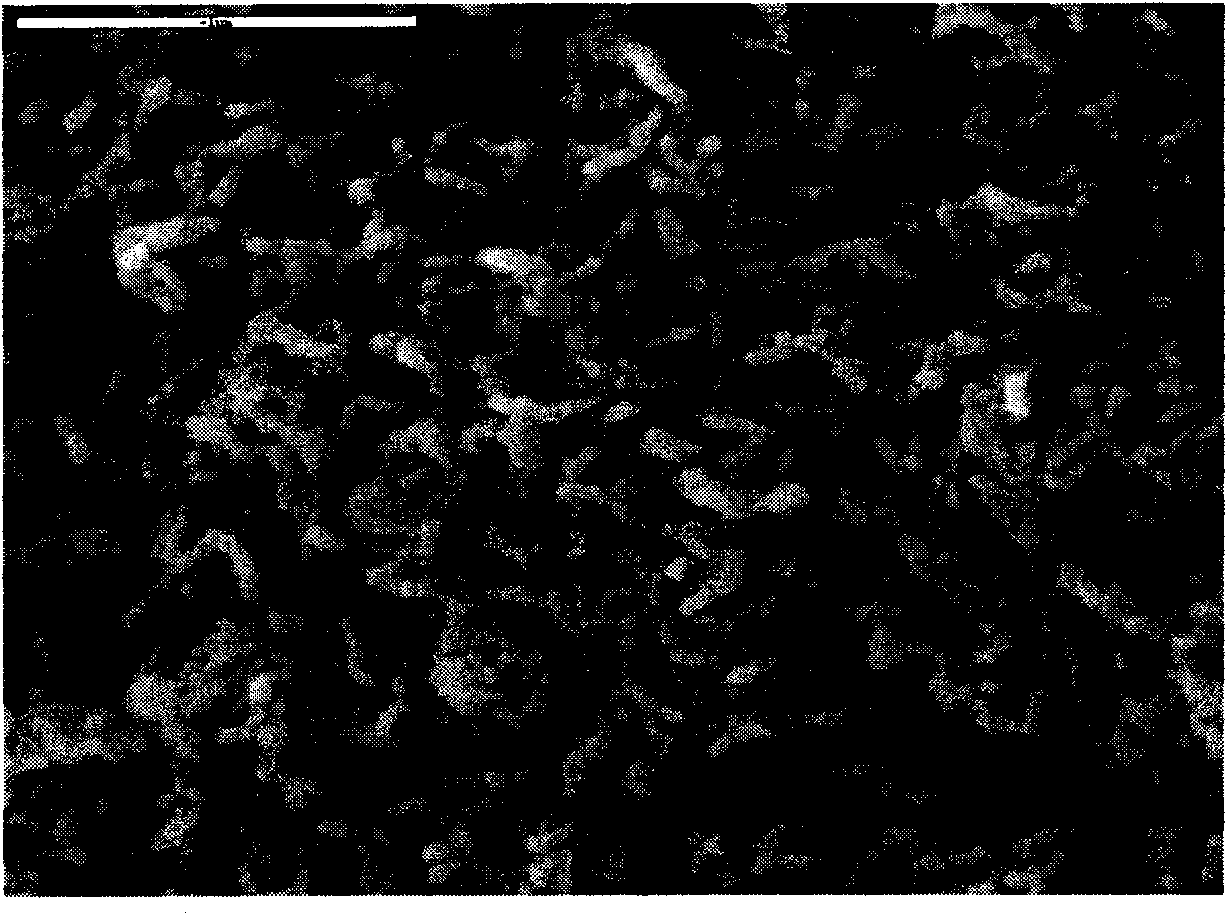 Titanium dioxide-aluminum oxide composite carrier and preparation method thereof