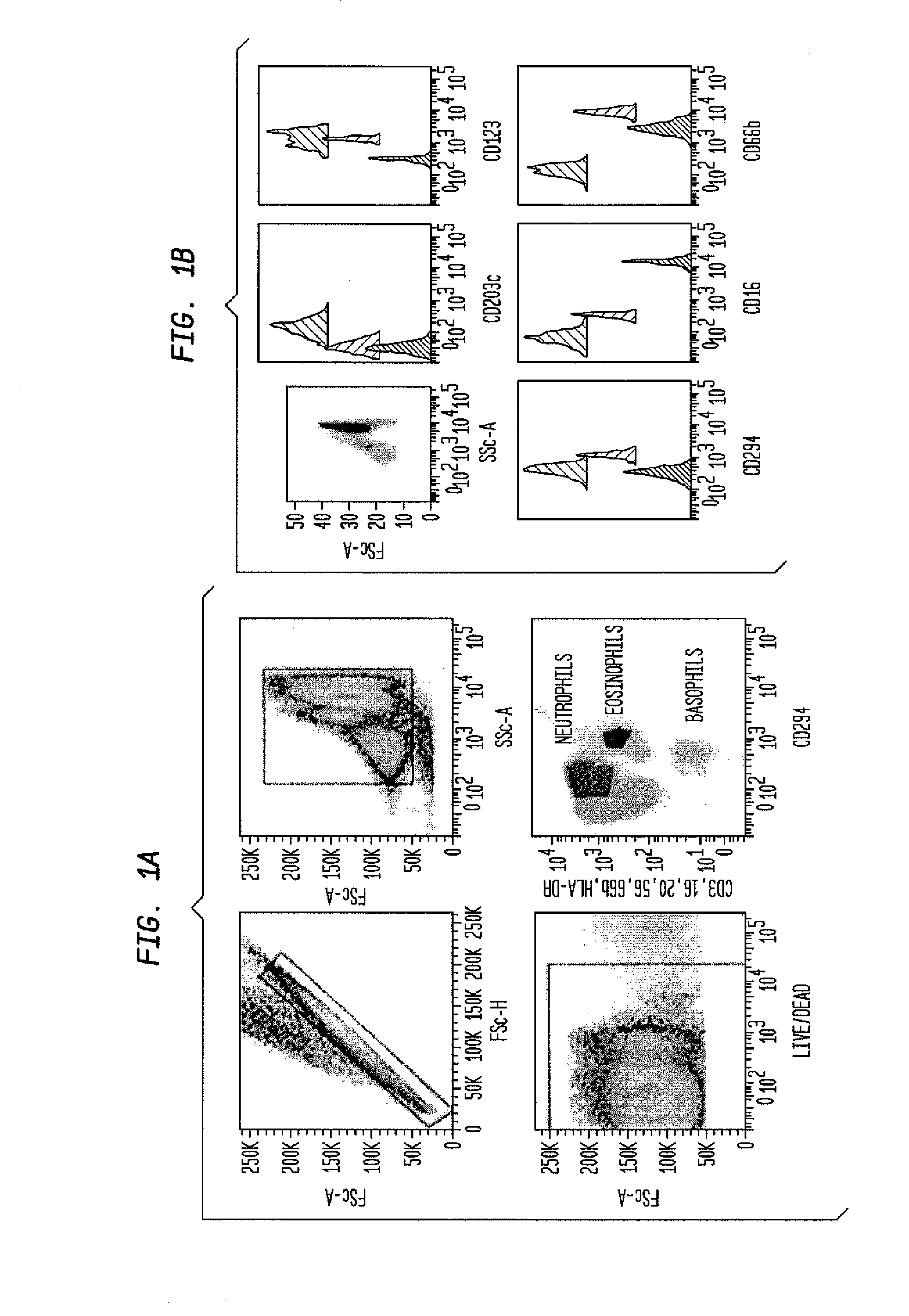 Methods and assays for detecting and quantifying pure subpopulations of white blood cells in immune system disorders