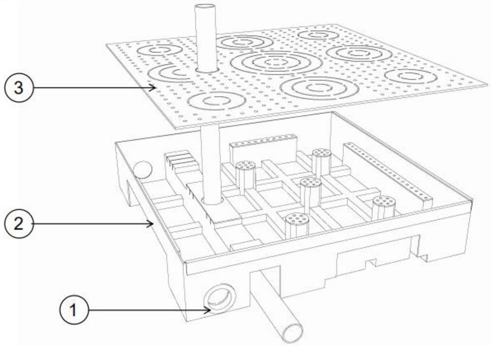 Water storage and drainage planting box capable of meeting requirements of sponge cities