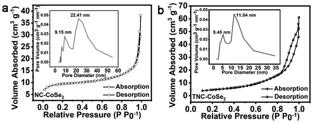 Titanium dioxide coated CoSe2-based nano material as well as preparation method and application thereof