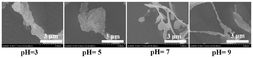 Preparation method of Pickering high internal phase emulsion capable of loading astaxanthin for 3D printing