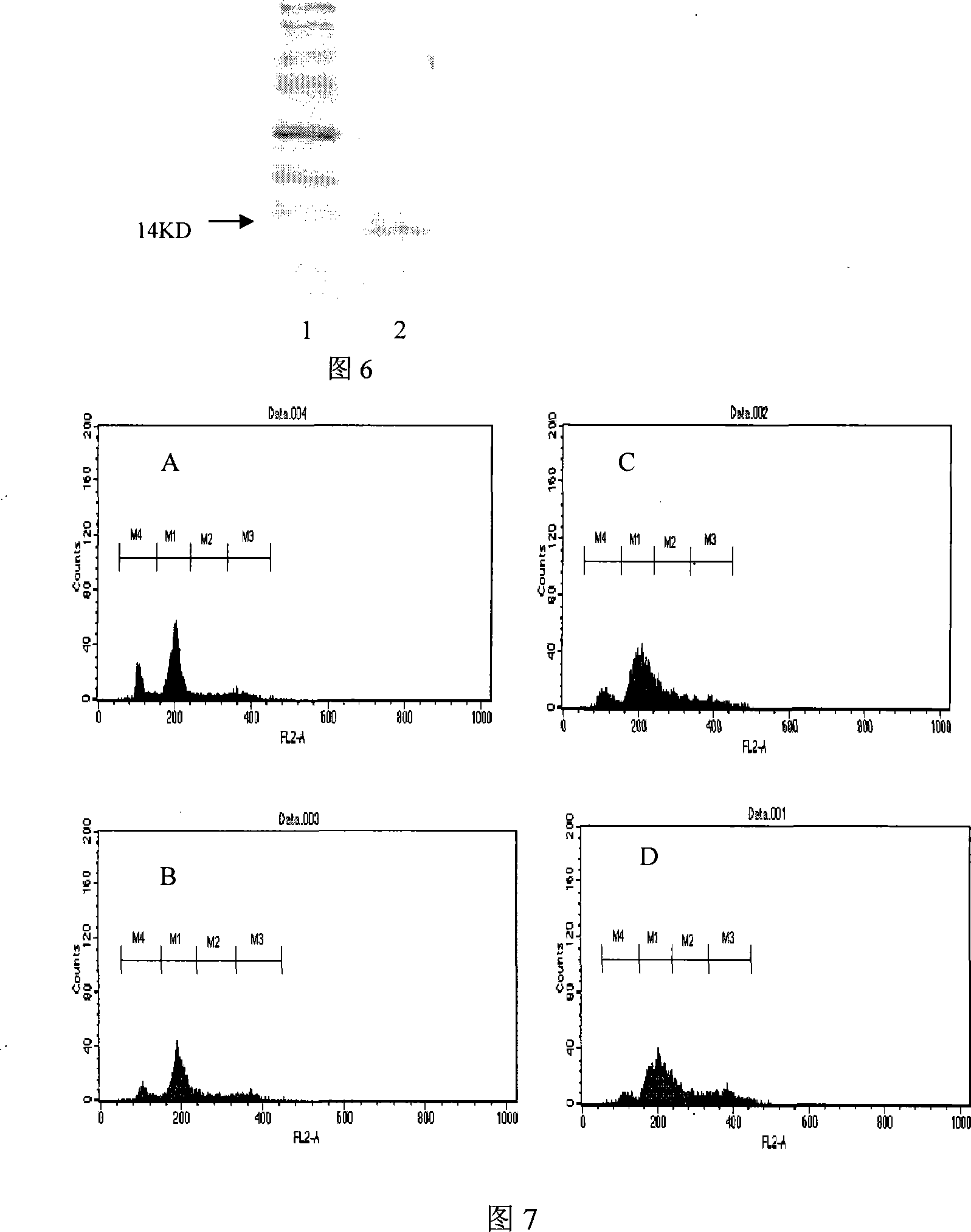 Recombinant polypeptide having islets beta- cell protection function
